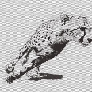 Virage du Guépard - Nektart - Franck Viennois